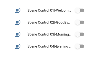 _images/extra-scene-confirmation-control.png